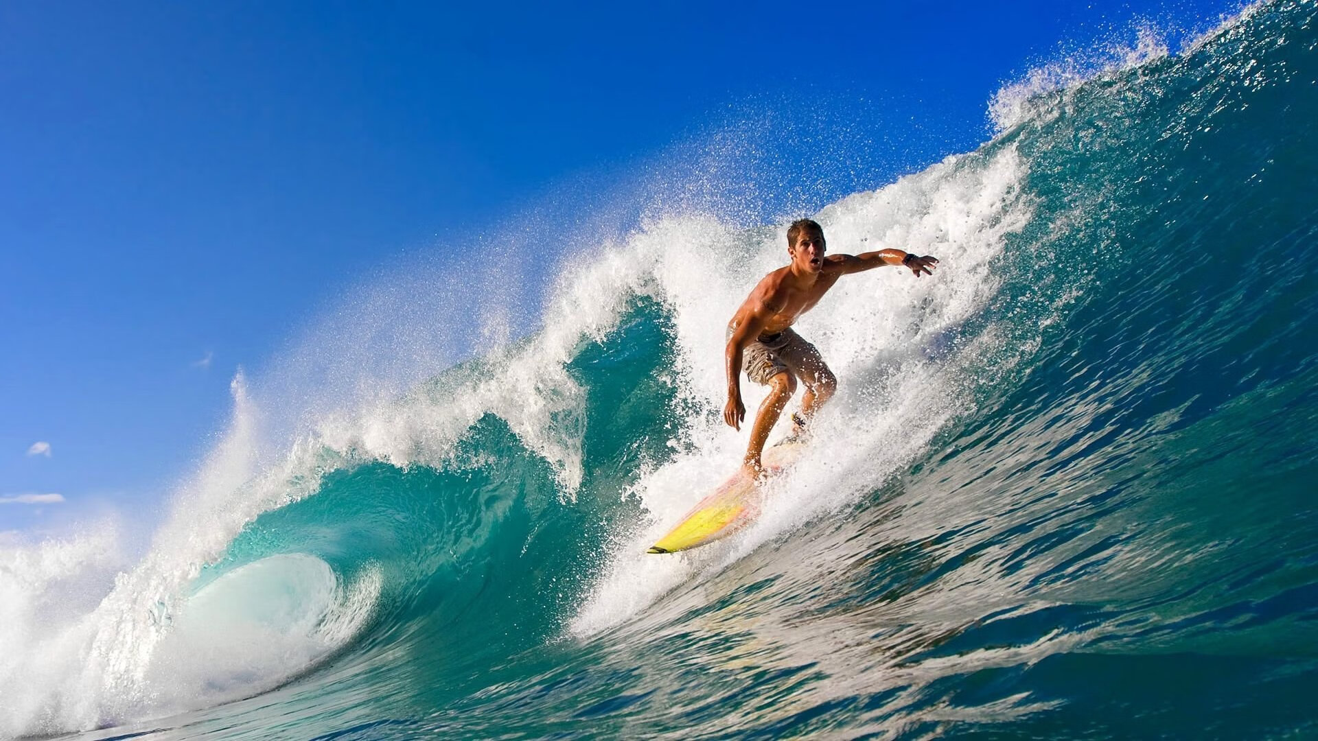 “三叉湖飞盘赛：全速投掷与精准接盘的极限比拼”