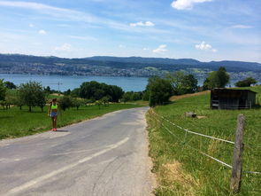 九游娱乐app-“缆绳滑水：东桃花岛赛场呈现全新水上运动魅力”