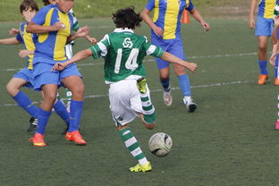 九游娱乐app-体育纪录片内容更加丰富，体育纪录片主题