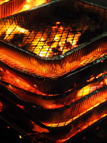 九游体育-森林狼主场布景焕然一新增强品牌识别度，森林狼logo